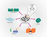 Unraveling the potential of polydopamine-assisted photoresponsive polyurethanes for industrial and biomedical applications