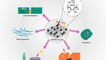Unraveling the potential of polydopamine-assisted photoresponsive polyurethanes for industrial and biomedical applications