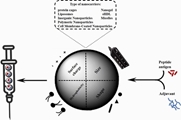 Peptide nanovaccine in melanoma immunotherapy