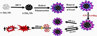 Fabrication of 5-fluorouracil loaded multi-responsive molecularly imprinted poly (NVCL-co-MAA) coated black titanium dioxide nanocomposite as a chemo-photodynamic therapy agent