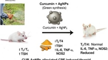 Curcumin-synthesized silver nanoparticles modulate inflammatory and thyroid-related gene expression in pubertal rats exposed to chlorpyrifos