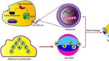 3D bioprinting of microfluidic systems for cardiac regenerative medicine