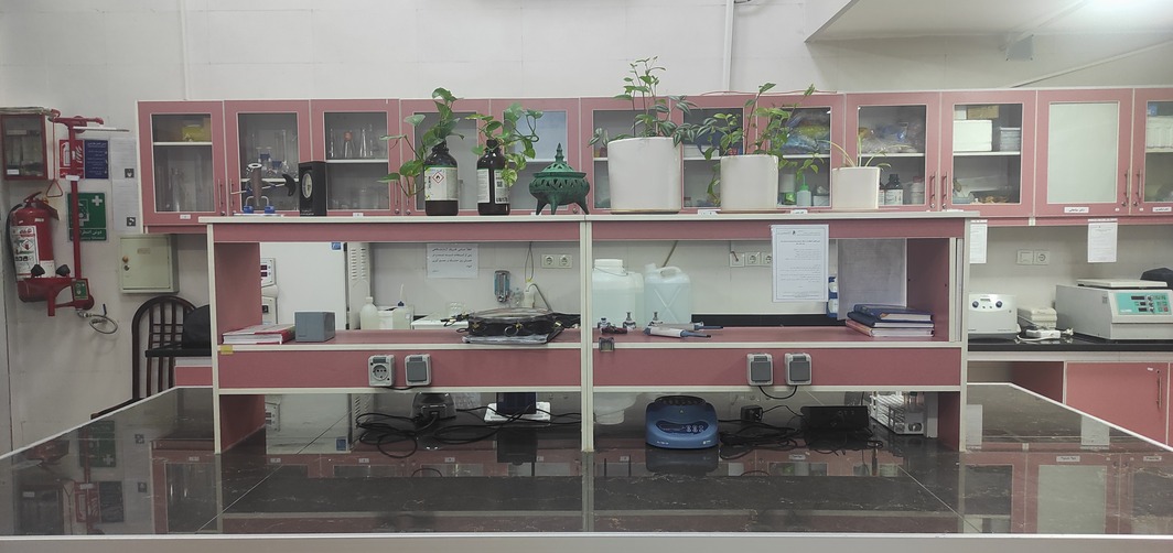 Center for Nanotechnology in Drug Delivery 3